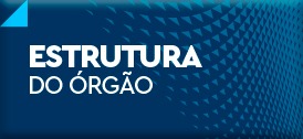 ESTRUTURA DO ÓRGÃO